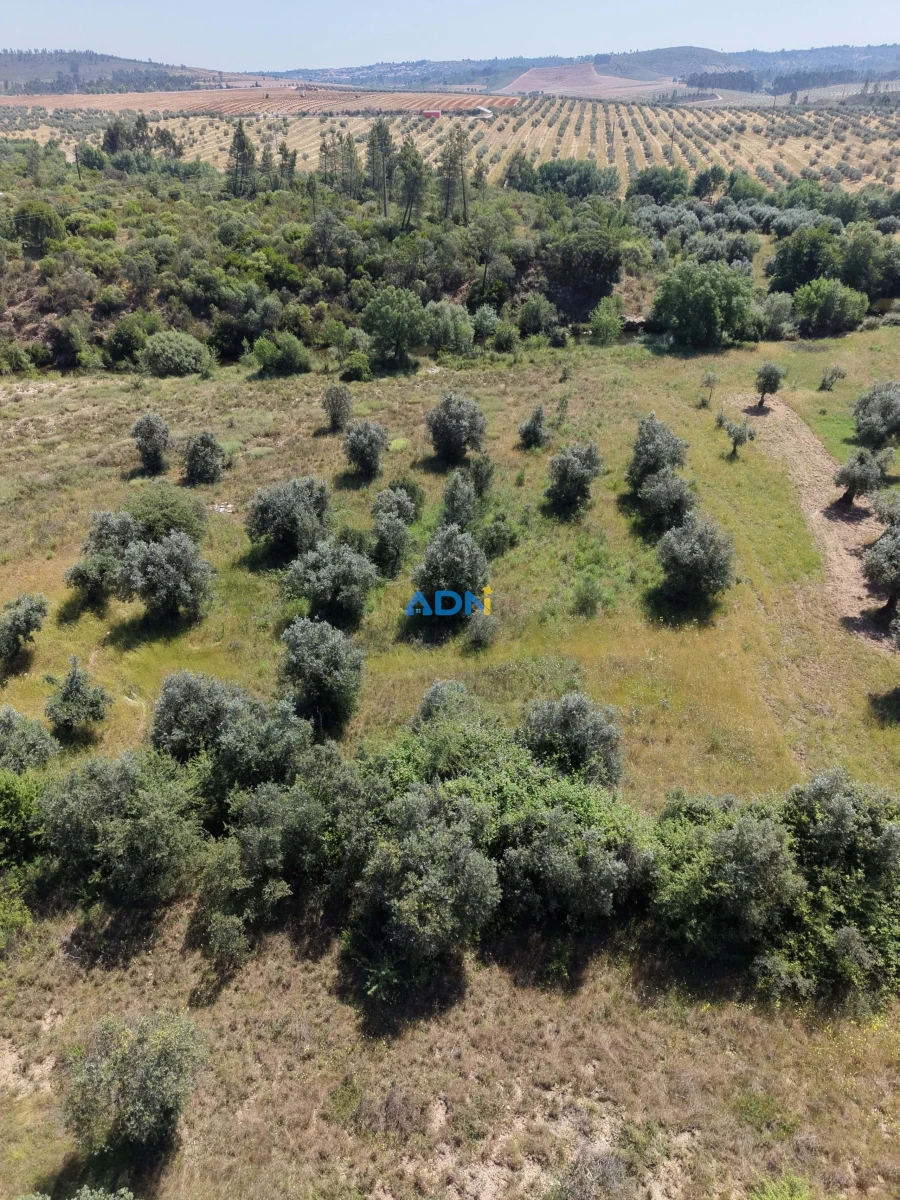 Terreno para Venda em Freixial e Juncal do Campo Foto 9