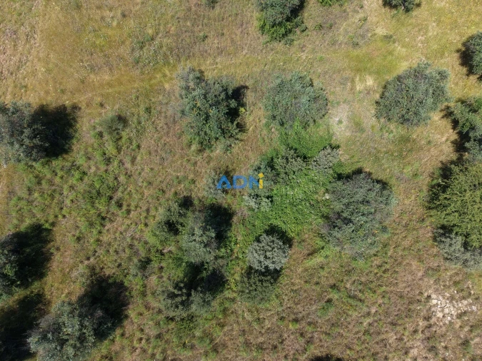 Terreno para Venda em Freixial e Juncal do Campo Foto 14