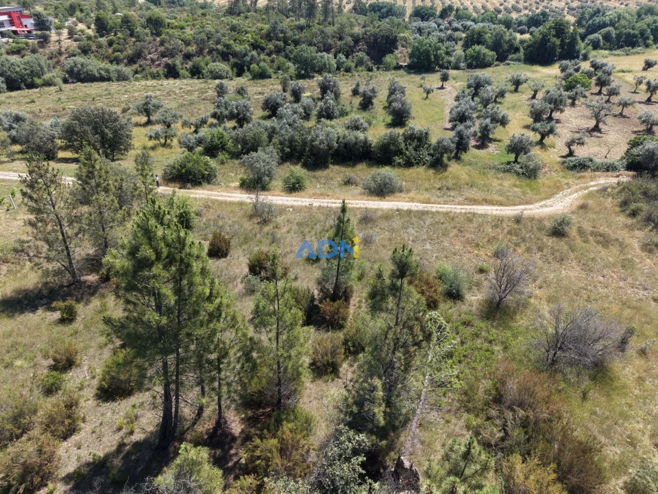 Terreno para Venda em Freixial e Juncal do Campo Foto 7