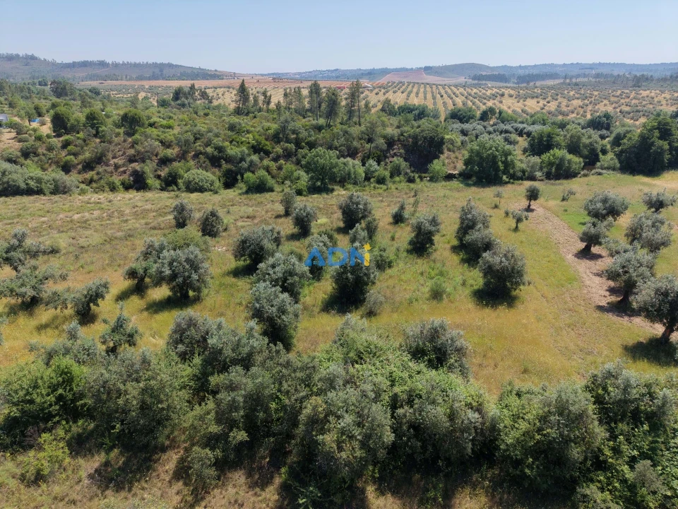 Terreno para Venda em Freixial e Juncal do Campo Foto 1