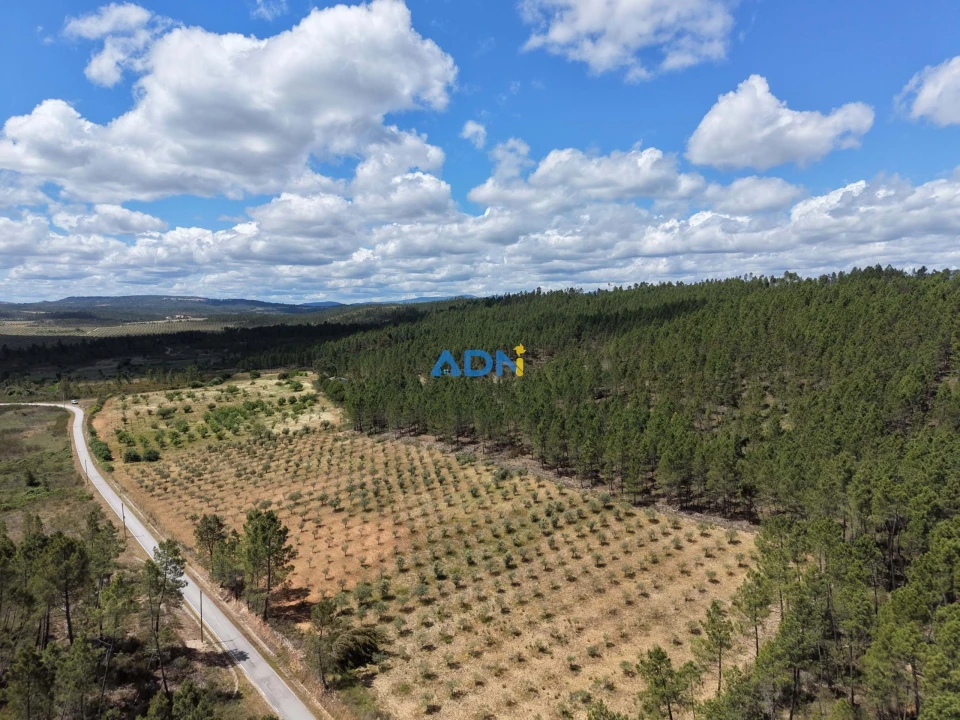 Terreno para Venda em Freixial e Juncal do Campo Foto 34