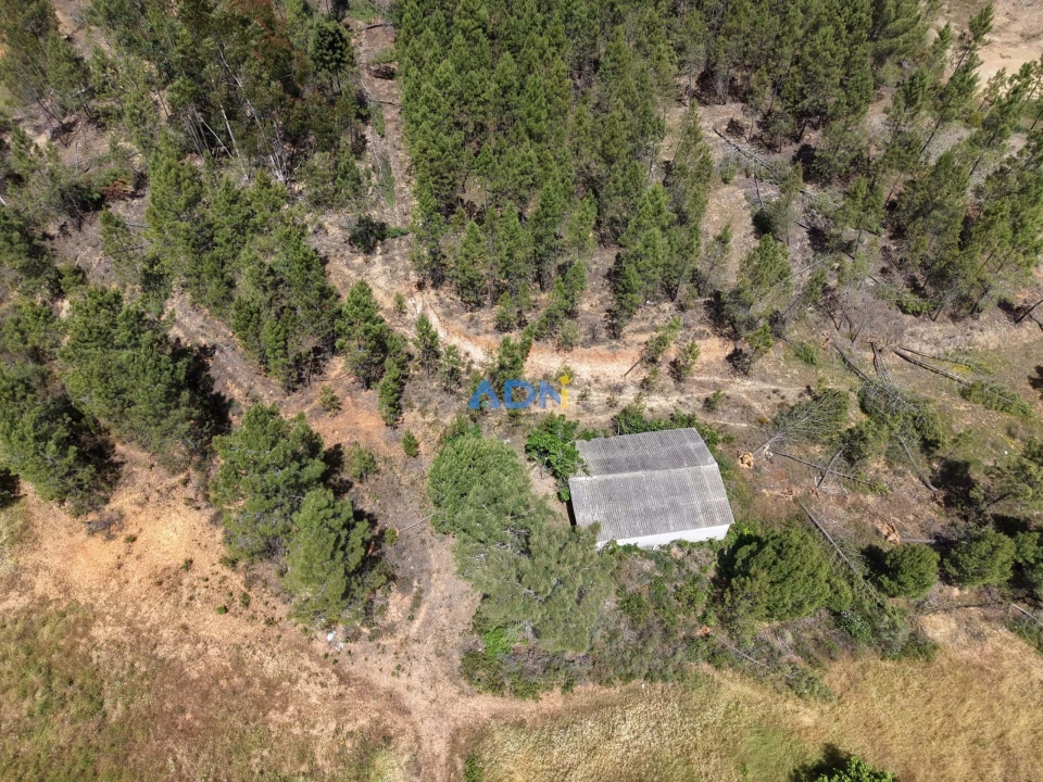 Terreno para Venda em Freixial e Juncal do Campo Foto 10