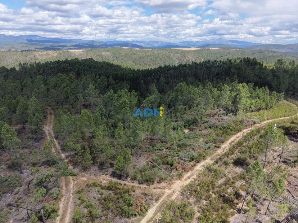 Terreno para Venda em Freixial e Juncal do Campo Foto 9