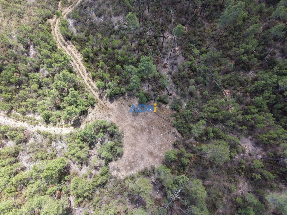 Terreno para Venda em Freixial e Juncal do Campo Foto 28
