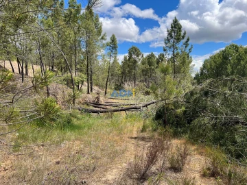 Terreno para Venda em Freixial e Juncal do Campo