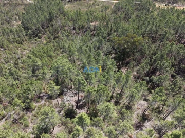 Terreno para Venda em Freixial e Juncal do Campo