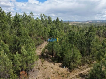 Terreno para Venda em Freixial e Juncal do Campo