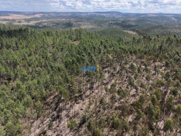 Terreno para Venda em Freixial e Juncal do Campo