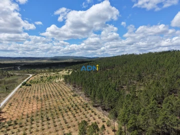 Terreno para Venda em Freixial e Juncal do Campo