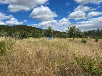 Terreno para Venda em Freixial e Juncal do Campo