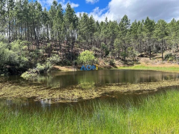 Terreno para Venda em Freixial e Juncal do Campo
