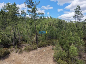Terreno para Venda em Freixial e Juncal do Campo