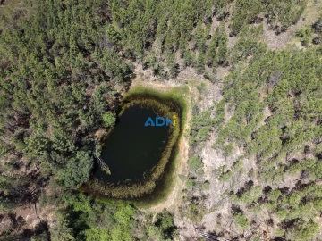 Terreno para Venda em Freixial e Juncal do Campo