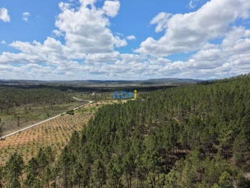 Terreno para Venda em Freixial e Juncal do Campo