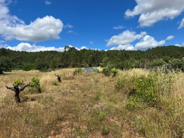 Terreno para Venda em Freixial e Juncal do Campo