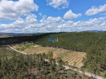 Terreno para Venda em Freixial e Juncal do Campo