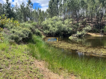 Terreno para Venda em Freixial e Juncal do Campo