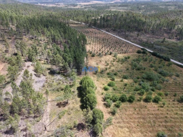 Terreno para Venda em Freixial e Juncal do Campo