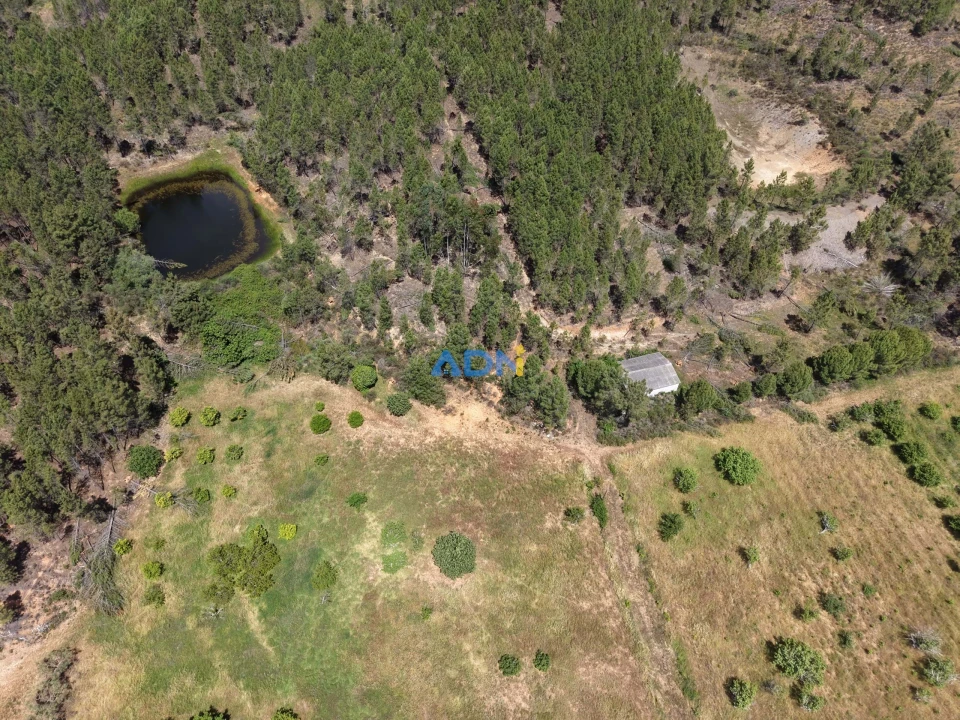 Terreno para Venda em Freixial e Juncal do Campo Foto 3