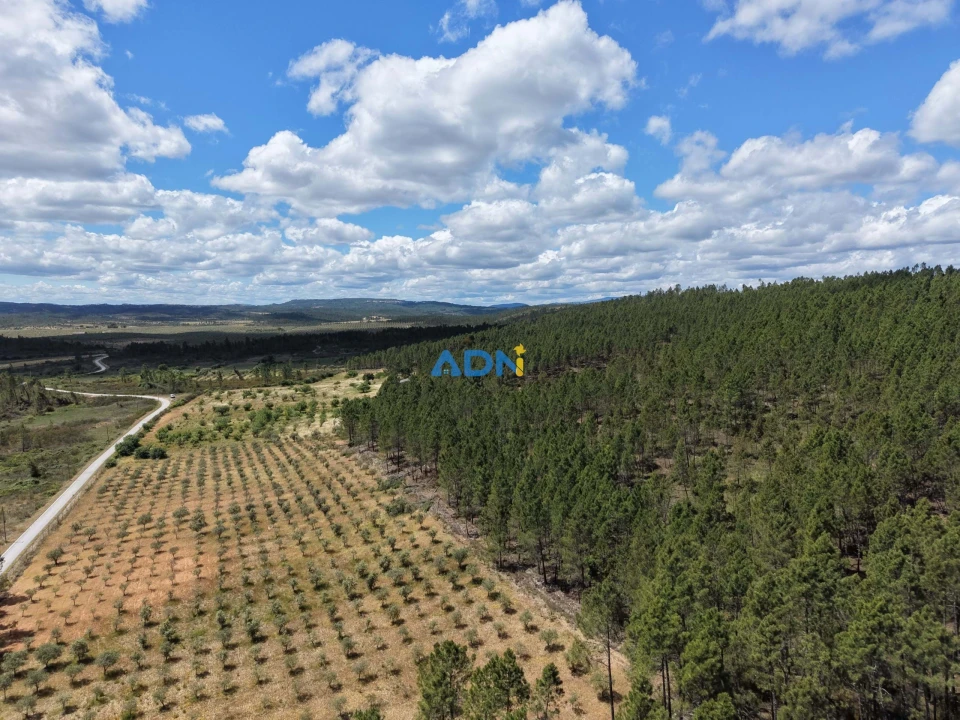 Terreno para Venda em Freixial e Juncal do Campo Foto 33