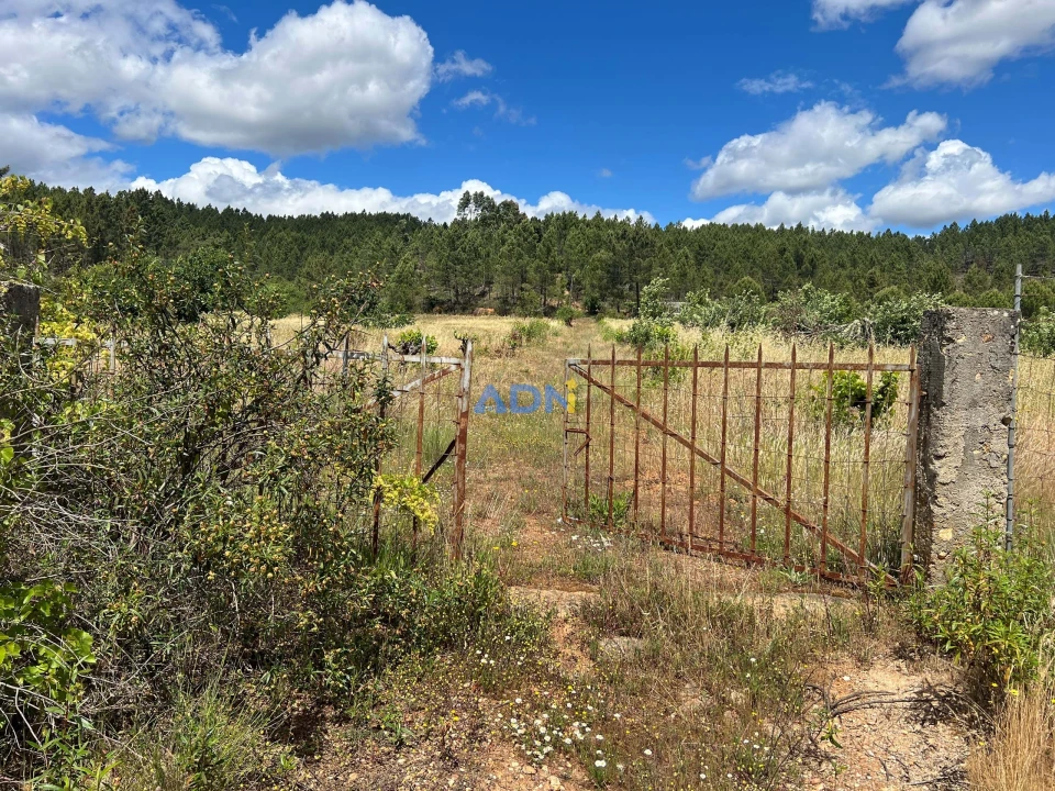 Terreno para Venda em Freixial e Juncal do Campo Foto 5