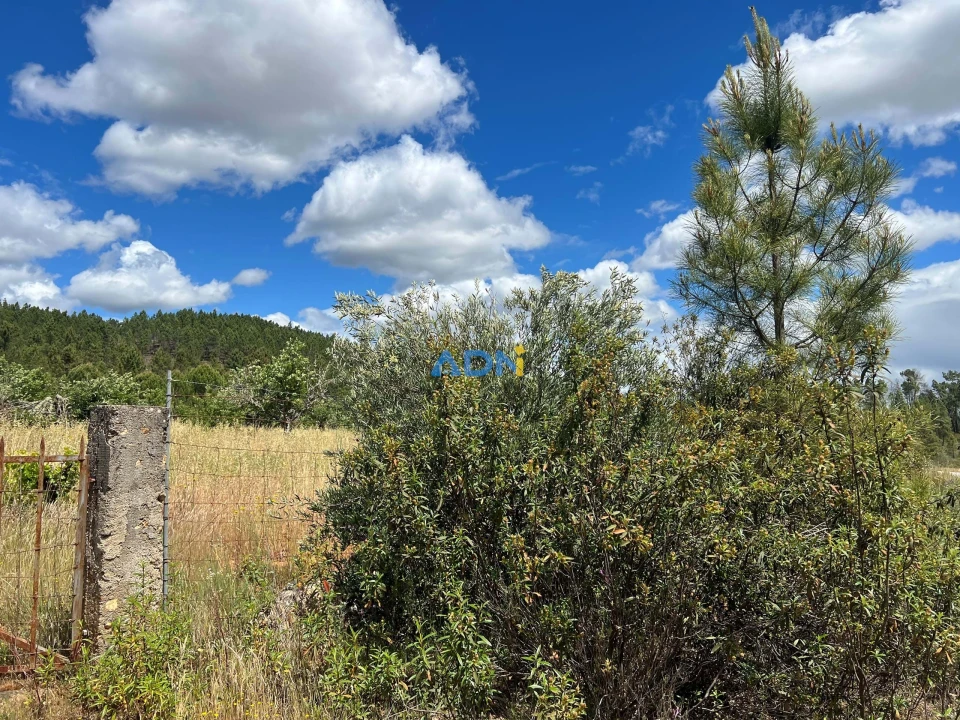 Terreno para Venda em Freixial e Juncal do Campo Foto 6
