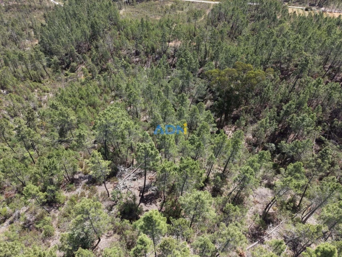 Terreno para Venda em Freixial e Juncal do Campo Foto 27