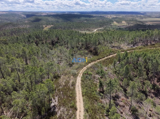 Terreno para Venda em Freixial e Juncal do Campo Foto 25