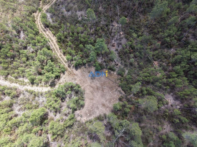 Terreno para Venda em Freixial e Juncal do Campo Foto 28