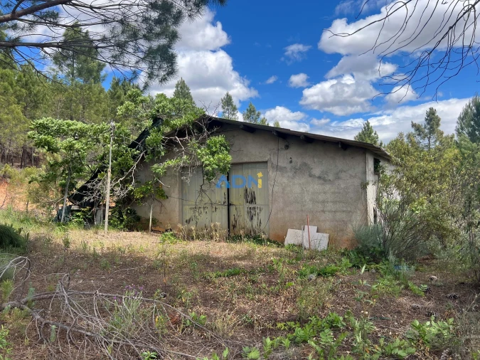 Terreno para Venda em Freixial e Juncal do Campo Foto 12