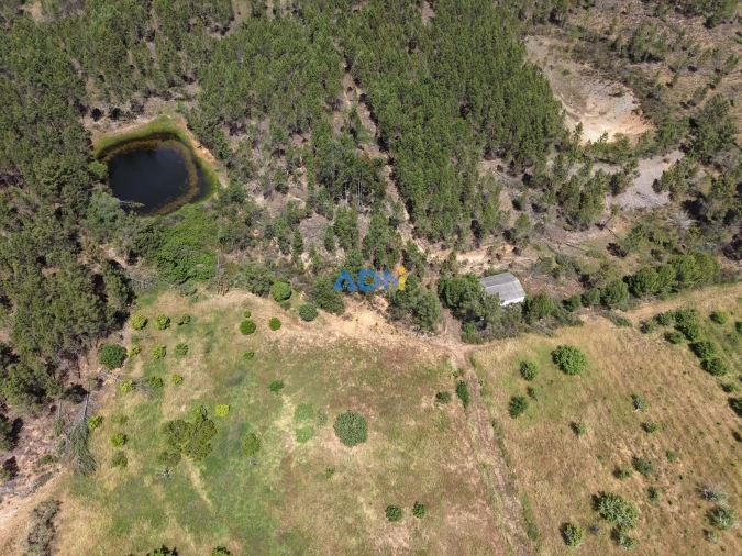 Terreno para Venda em Freixial e Juncal do Campo Foto 3