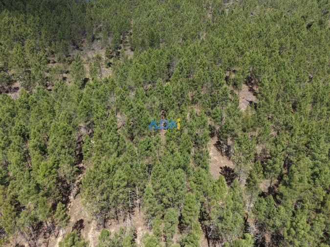 Terreno para Venda em Freixial e Juncal do Campo Foto 16