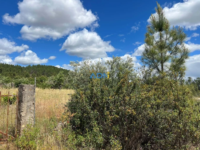 Terreno para Venda em Freixial e Juncal do Campo Foto 6