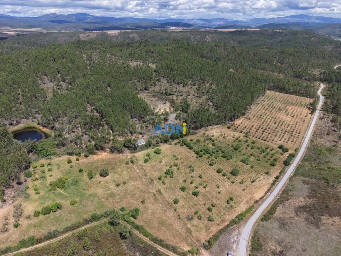 Terreno para Venda em Freixial e Juncal do Campo Foto 2