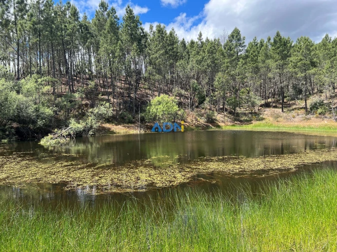 Terreno para Venda em Freixial e Juncal do Campo Foto 19