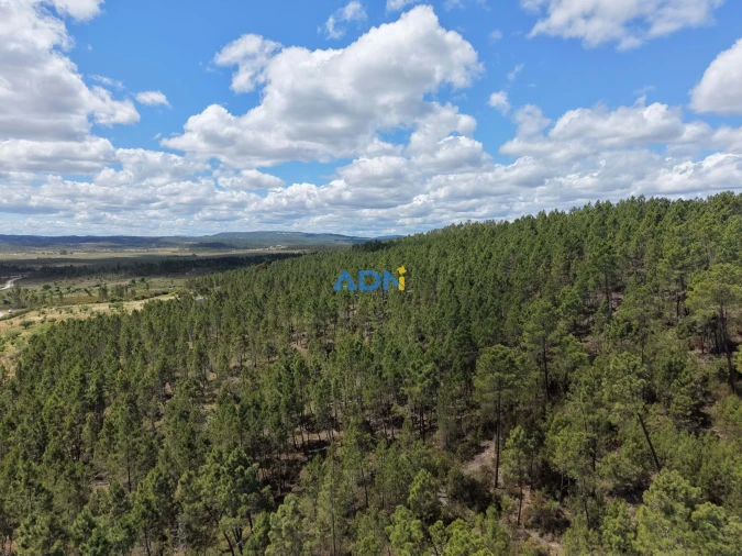 Terreno para Venda em Freixial e Juncal do Campo Foto 32