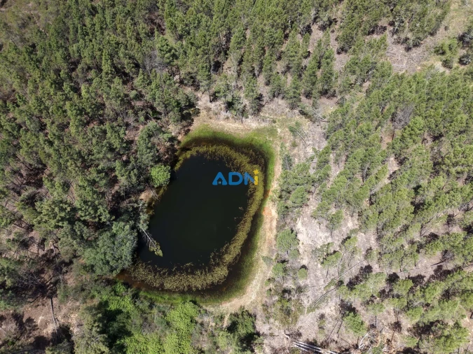 Terreno para Venda em Freixial e Juncal do Campo Foto 18