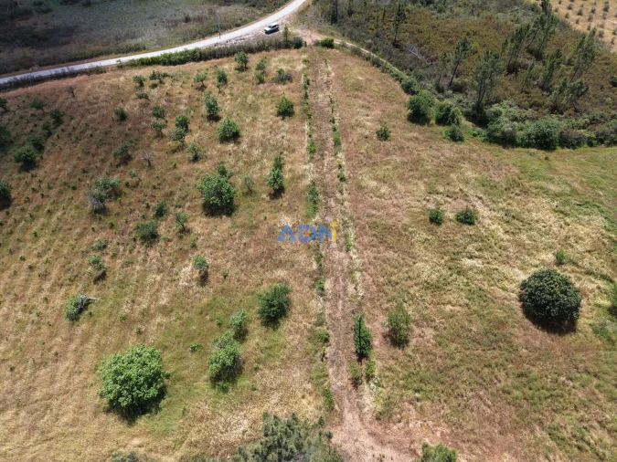 Terreno para Venda em Freixial e Juncal do Campo Foto 8