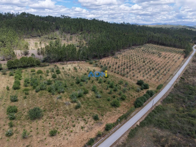 Terreno para Venda em Freixial e Juncal do Campo Foto 37