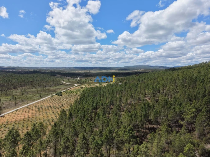 Terreno para Venda em Freixial e Juncal do Campo Foto 31