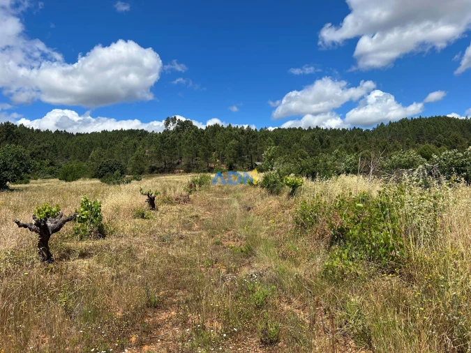 Terreno para Venda em Freixial e Juncal do Campo Foto 7
