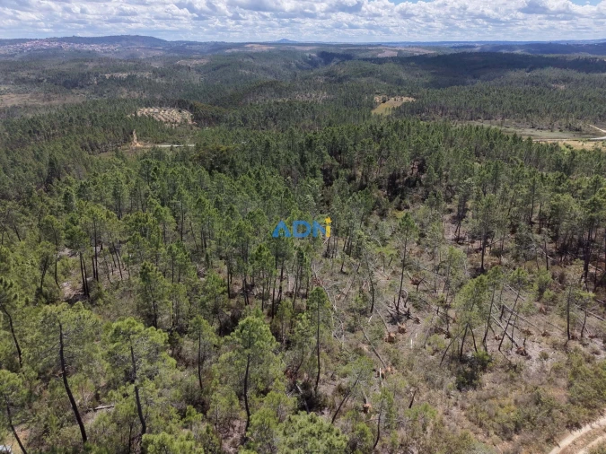 Terreno para Venda em Freixial e Juncal do Campo Foto 26