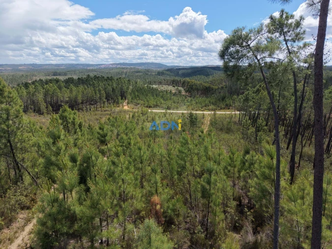 Terreno para Venda em Freixial e Juncal do Campo Foto 29