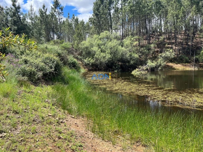 Terreno para Venda em Freixial e Juncal do Campo Foto 20
