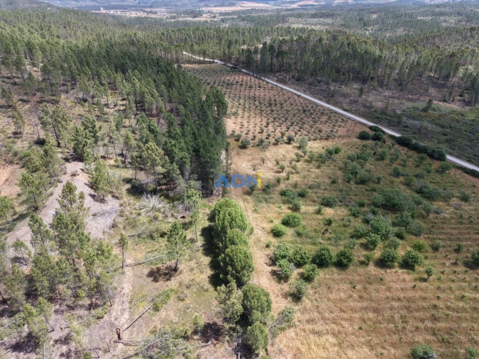 Terreno para Venda em Freixial e Juncal do Campo Foto 17