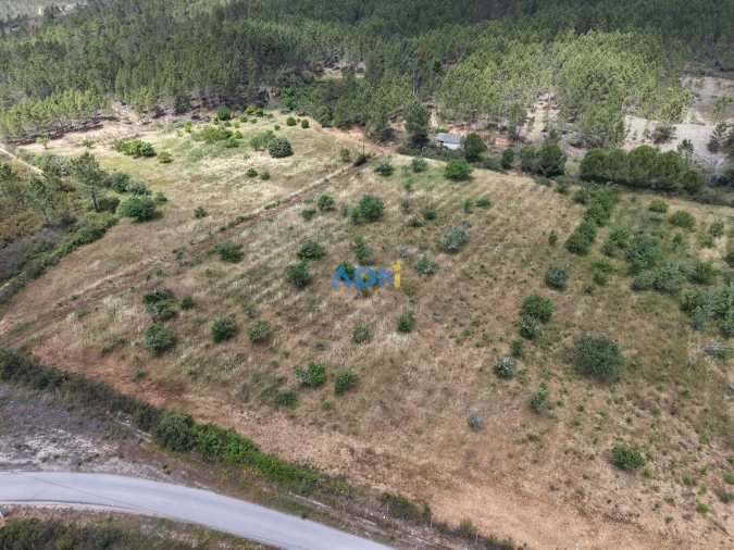 Terreno para Venda em Freixial e Juncal do Campo Foto 36