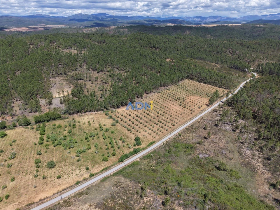 Terreno para Venda em Freixial e Juncal do Campo Foto 4