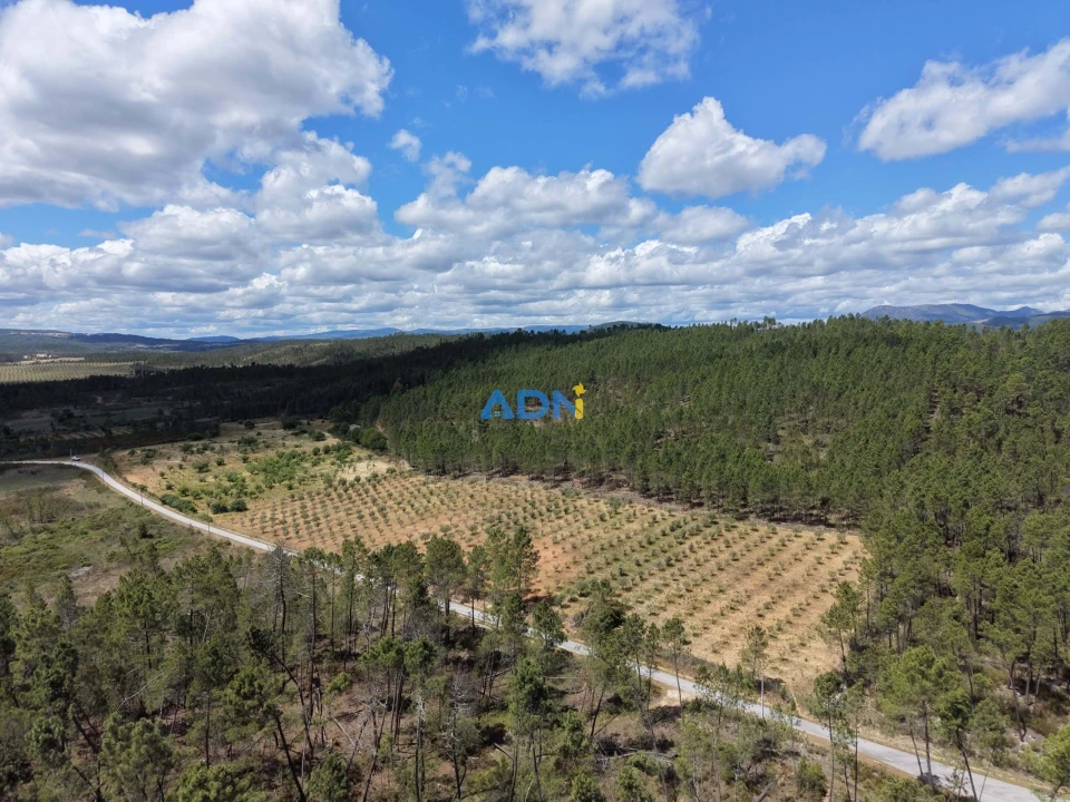 Terreno para Venda em Freixial e Juncal do Campo Foto 35