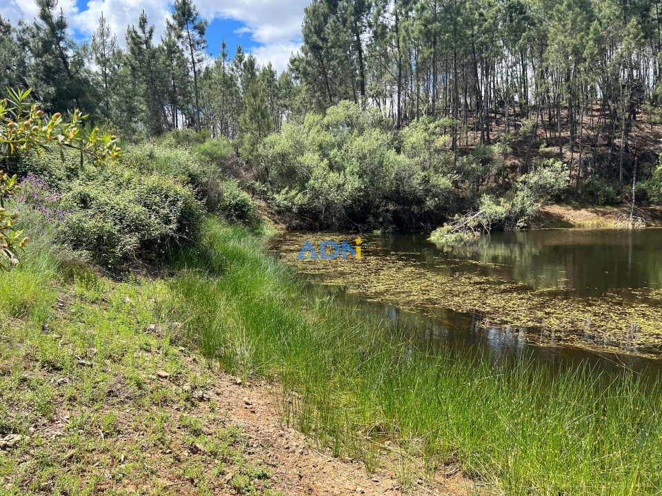 Terreno para Venda em Freixial e Juncal do Campo Foto 20