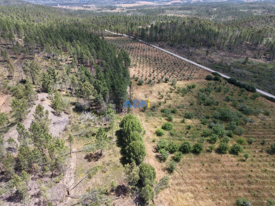 Terreno para Venda em Freixial e Juncal do Campo Foto 17